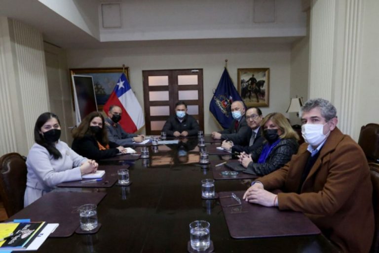 Diputada Naveillán tras reunión con Defensa: “Se requiere un mayor apoyo público del ejecutivo a las FF. AA y Carabineros en Estado de Excepción”￼