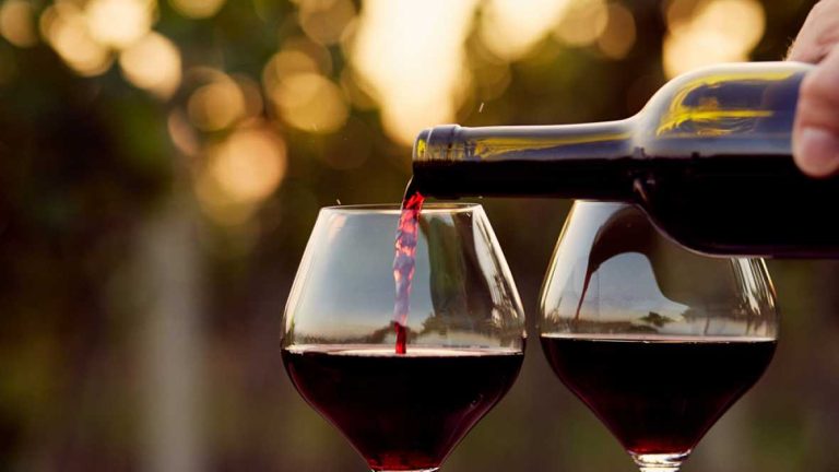 Rutas del Vino en la Araucanía: Un Viaje Enológico