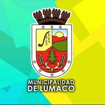 Esperado proyecto para asfaltar ruta entre Los Laureles y Pichi Pellahuén en la comuna de Lumaco ya abrió proceso de licitación