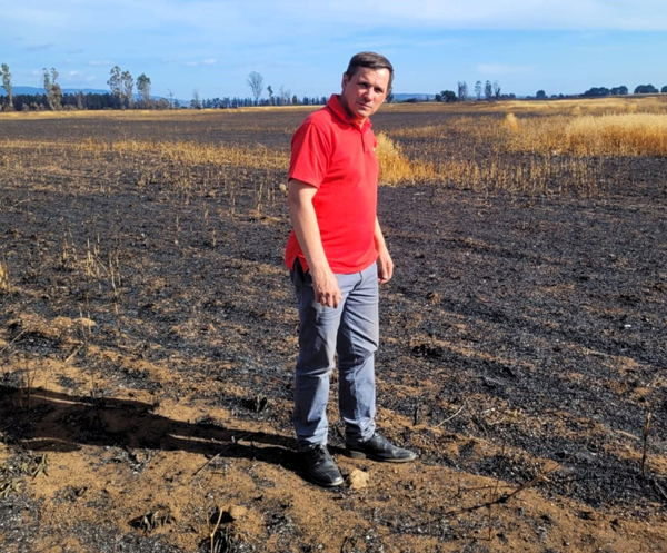 Diputado Jorge Rathgeb llama a autoridades comunales a interponer acciones judiciales ante incendios de temporada