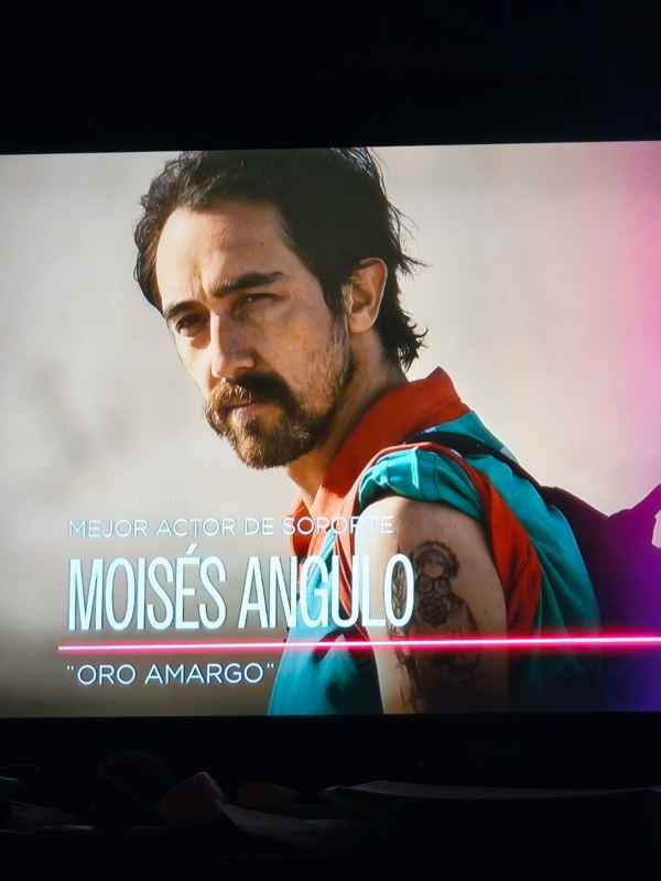 IMPORTANTE RECONOCIMIENTO PARA ACTOR COLLIPULLENSE